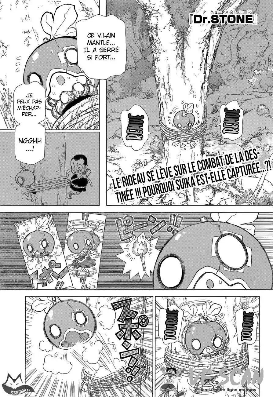 Dr. STONE 35 page 1
