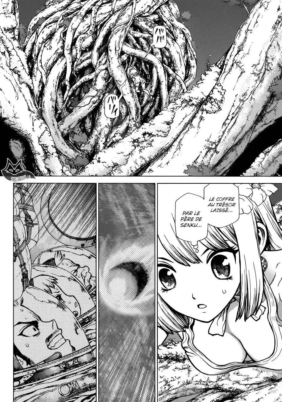 Dr. STONE 114 page 3