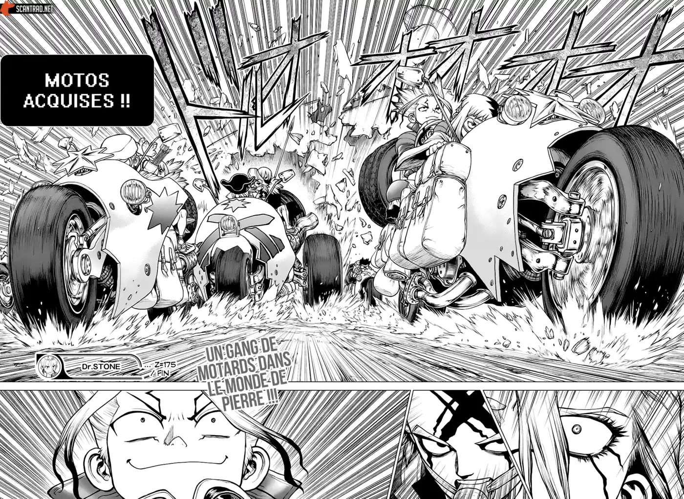 Dr. STONE 175 page 16