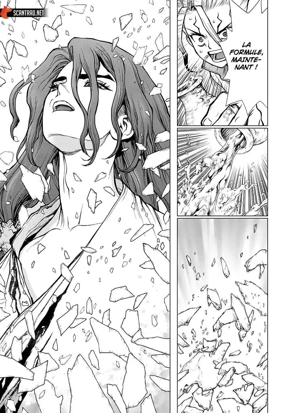 Dr. STONE 141 page 10