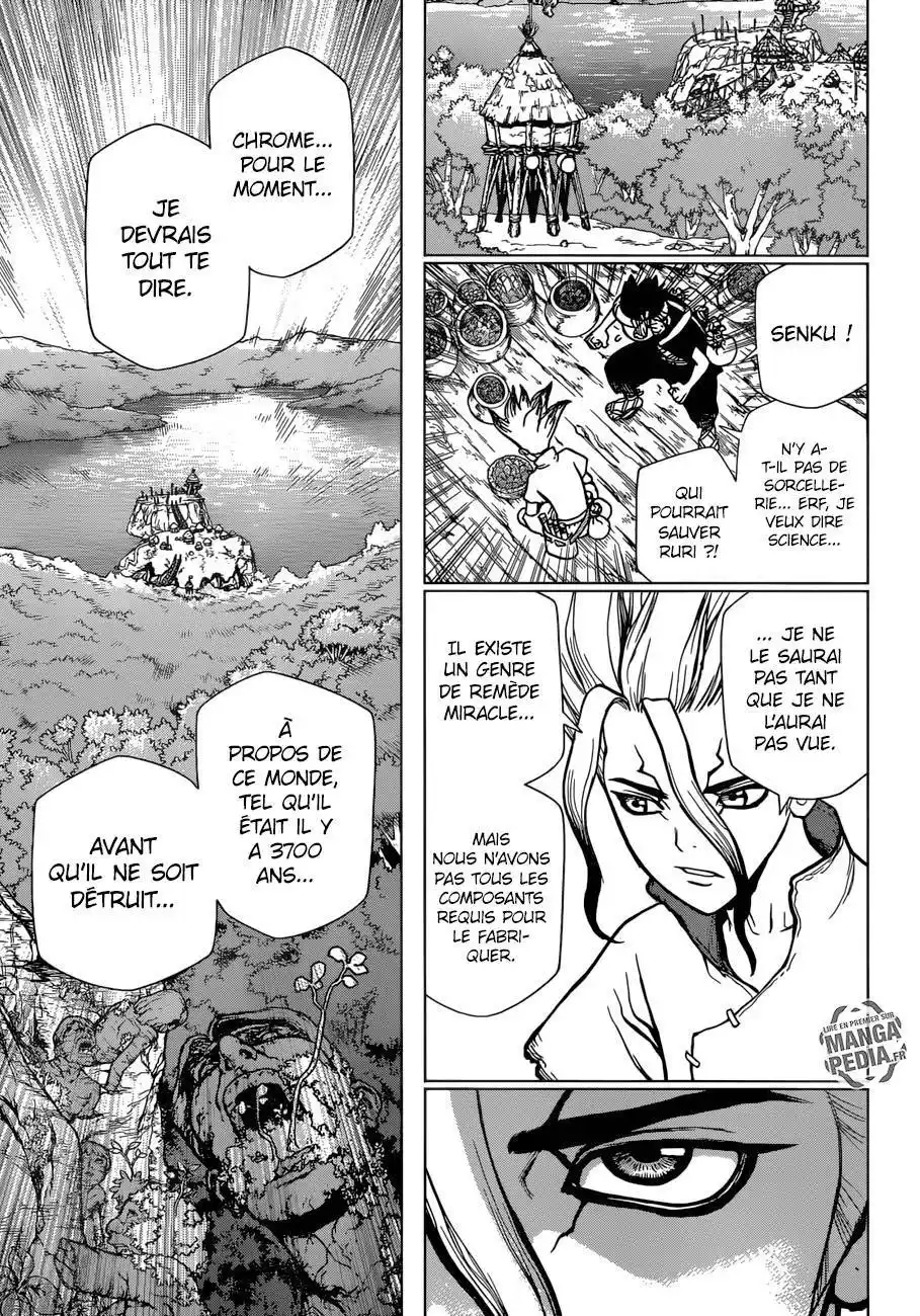 Dr. STONE 19 page 12