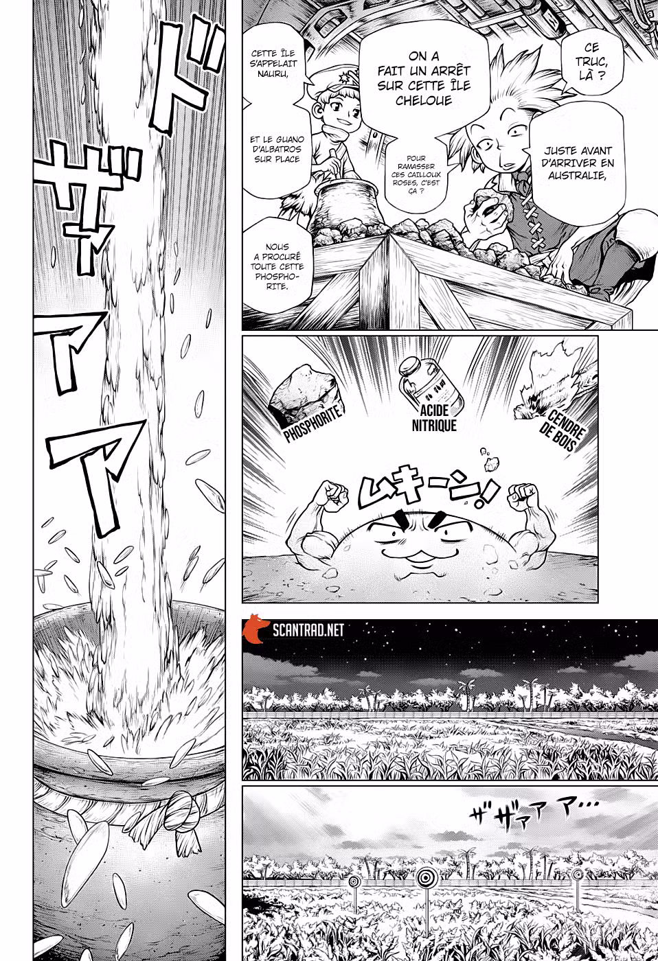 Dr. STONE 211 page 11