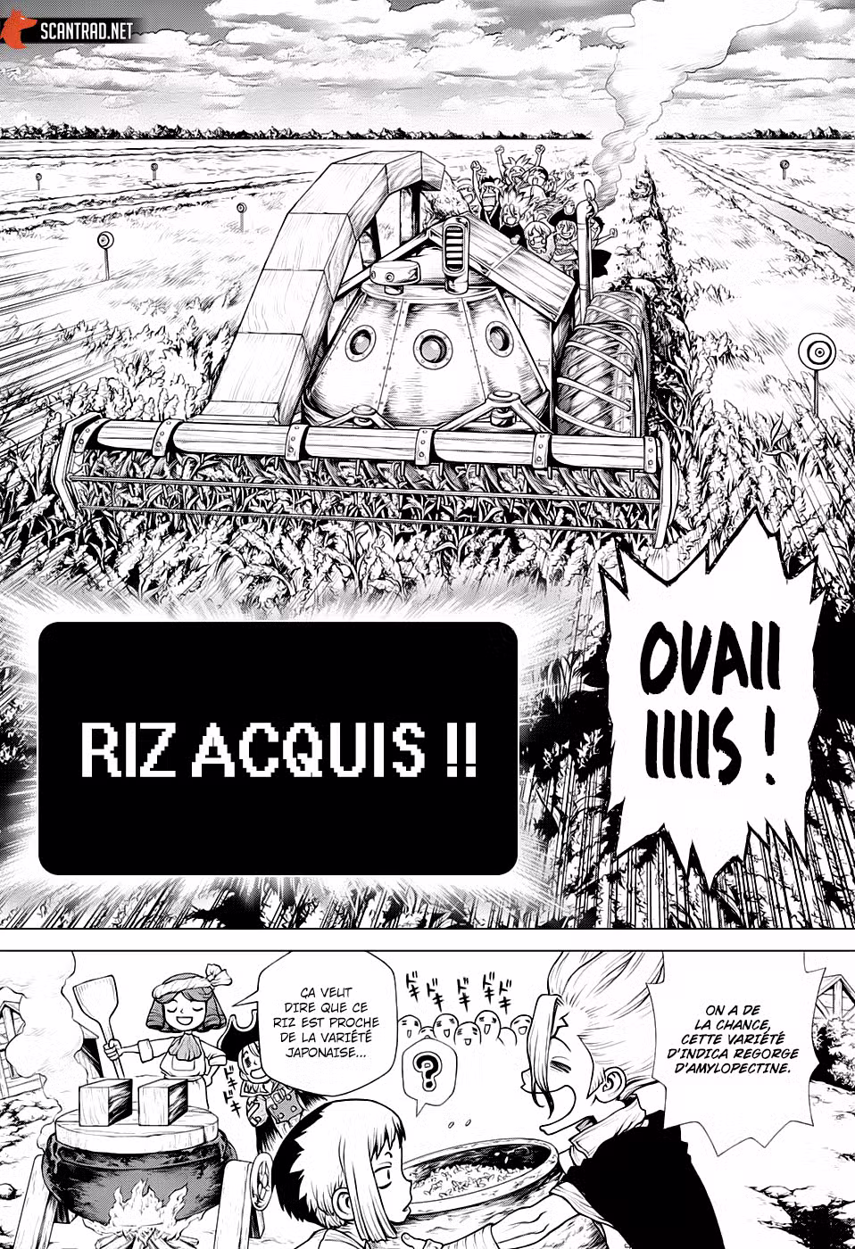 Dr. STONE 211 page 12