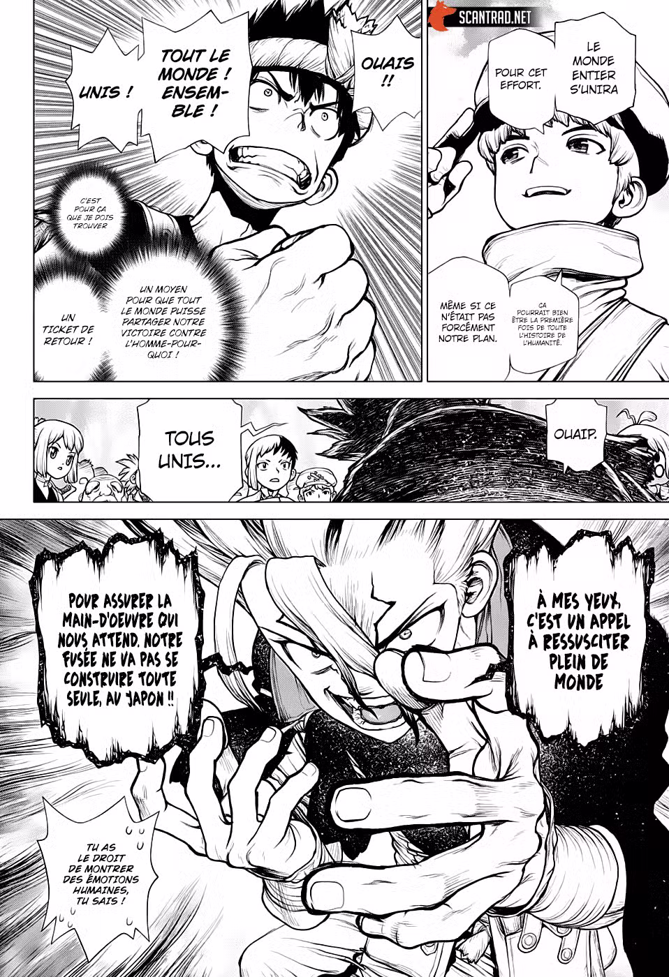Dr. STONE 211 page 5