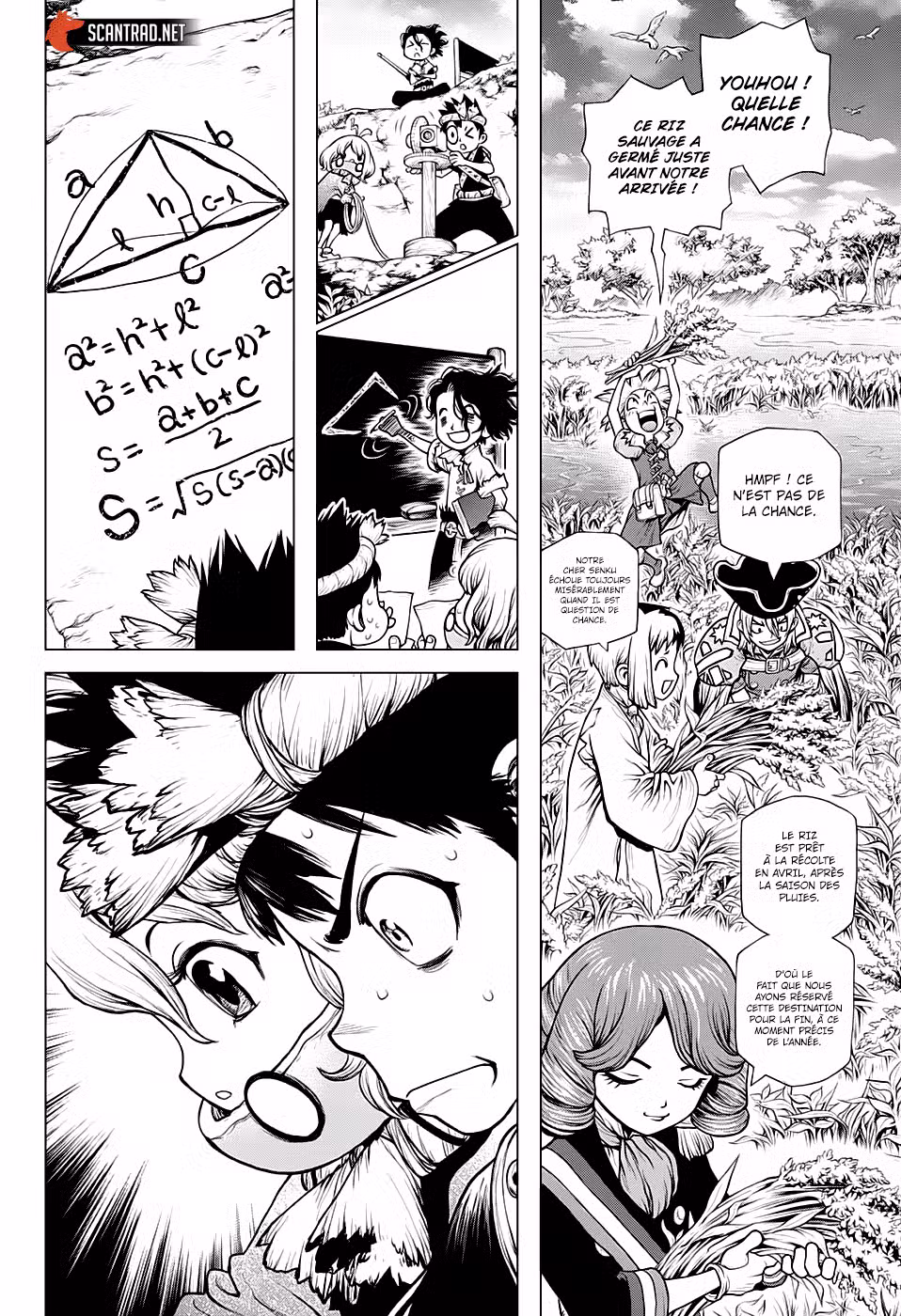 Dr. STONE 211 page 8