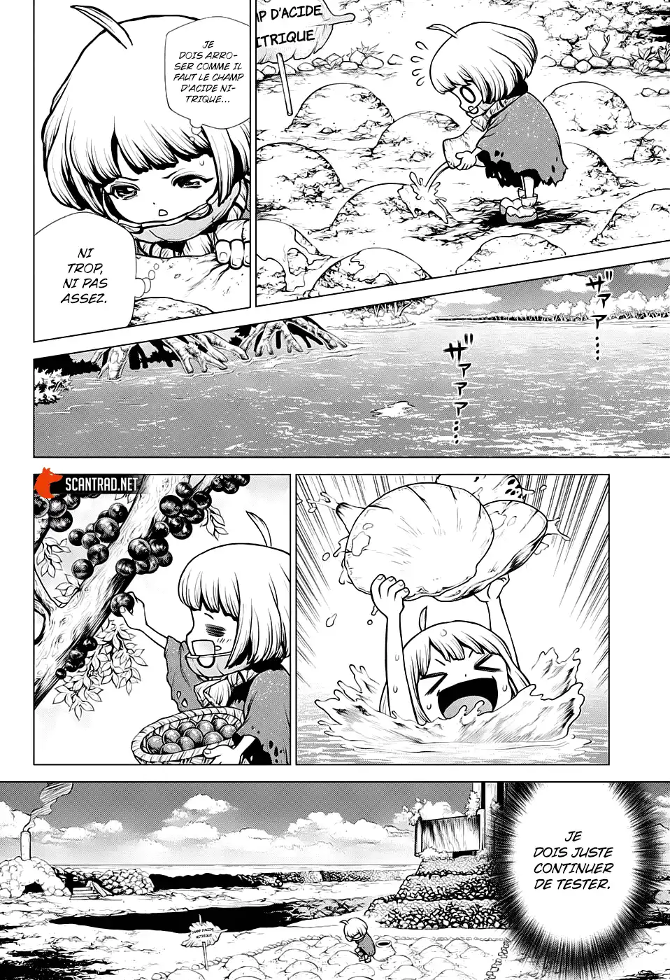 Dr. STONE 196 page 13