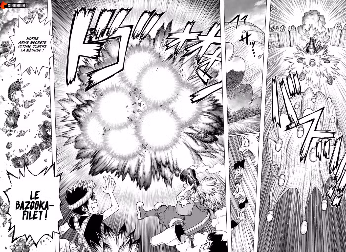 Dr. STONE 220 page 12