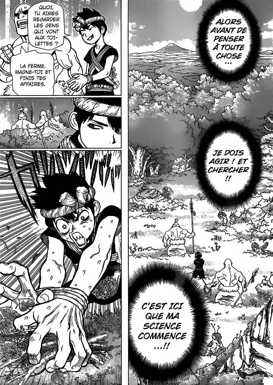 Dr. STONE 71 page 7
