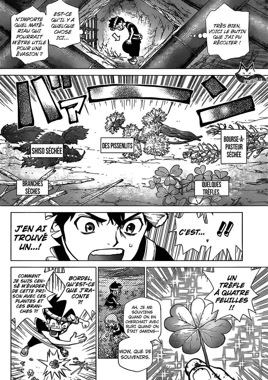 Dr. STONE 71 page 8