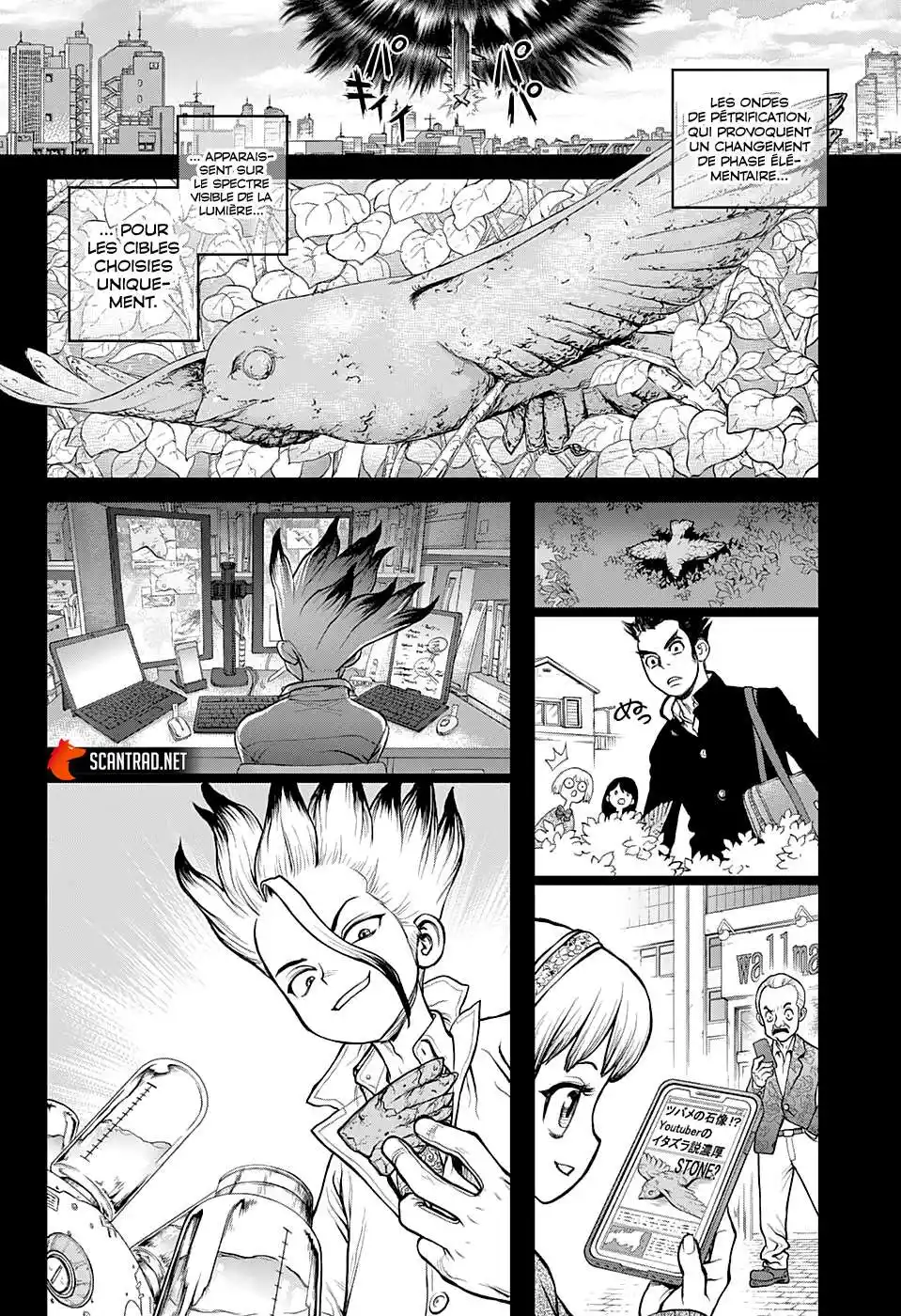 Dr. STONE 229 page 6