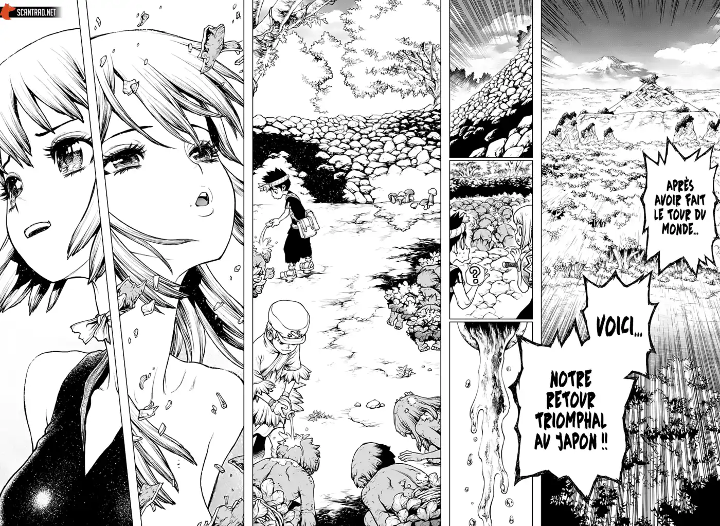 Dr. STONE 212 page 5