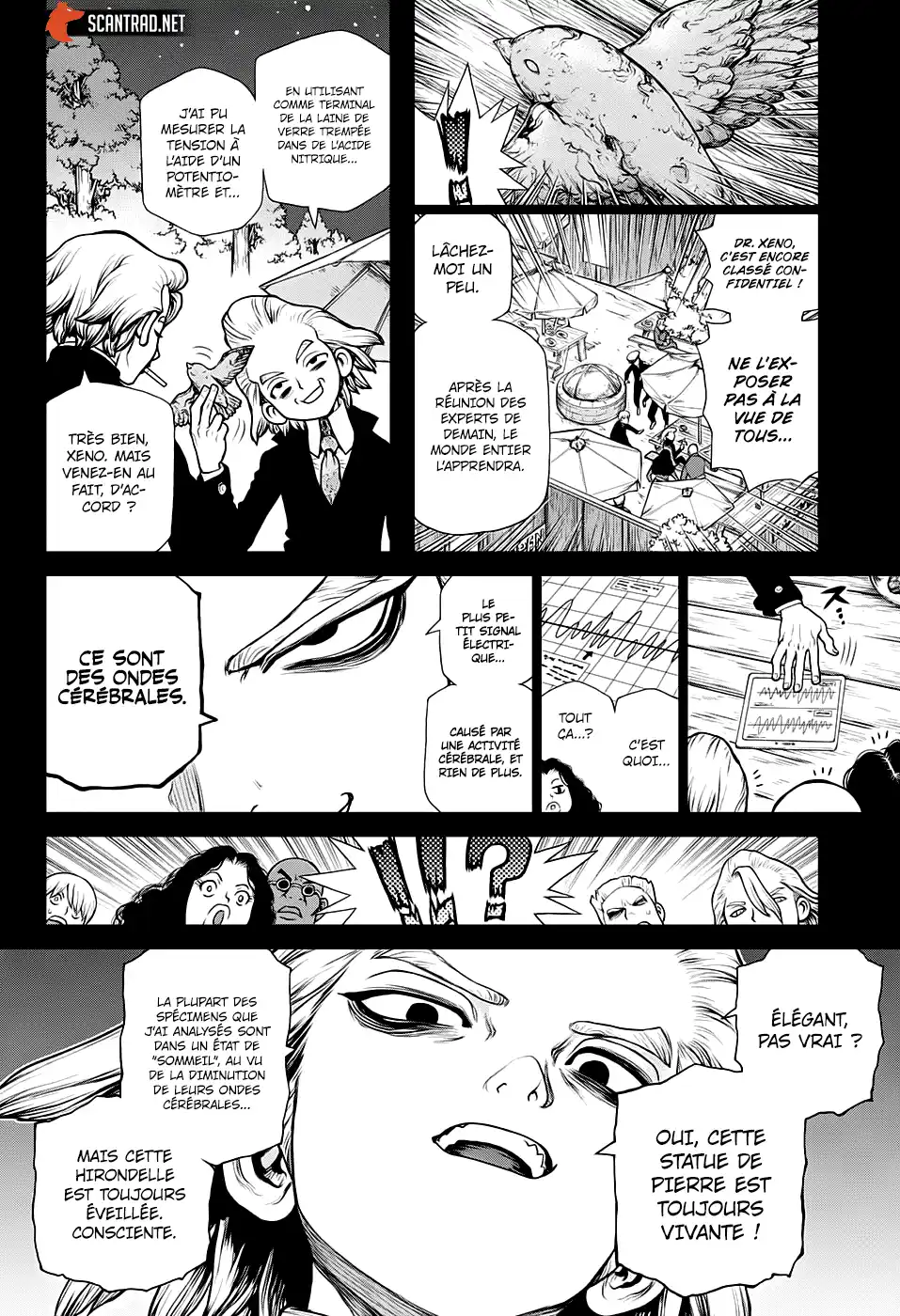 Dr. STONE 157 page 7