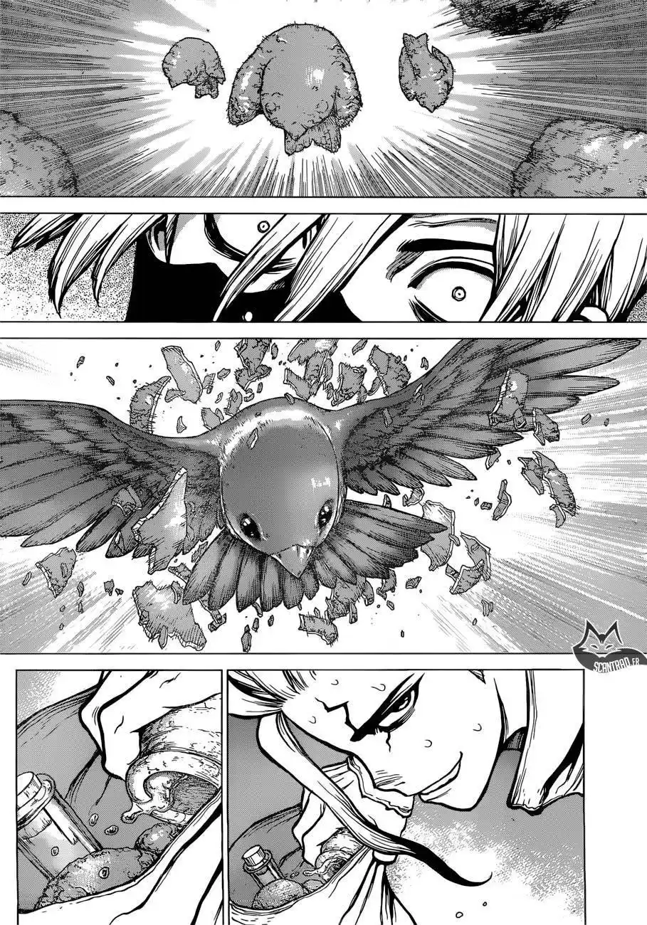 Dr. STONE 80 page 15