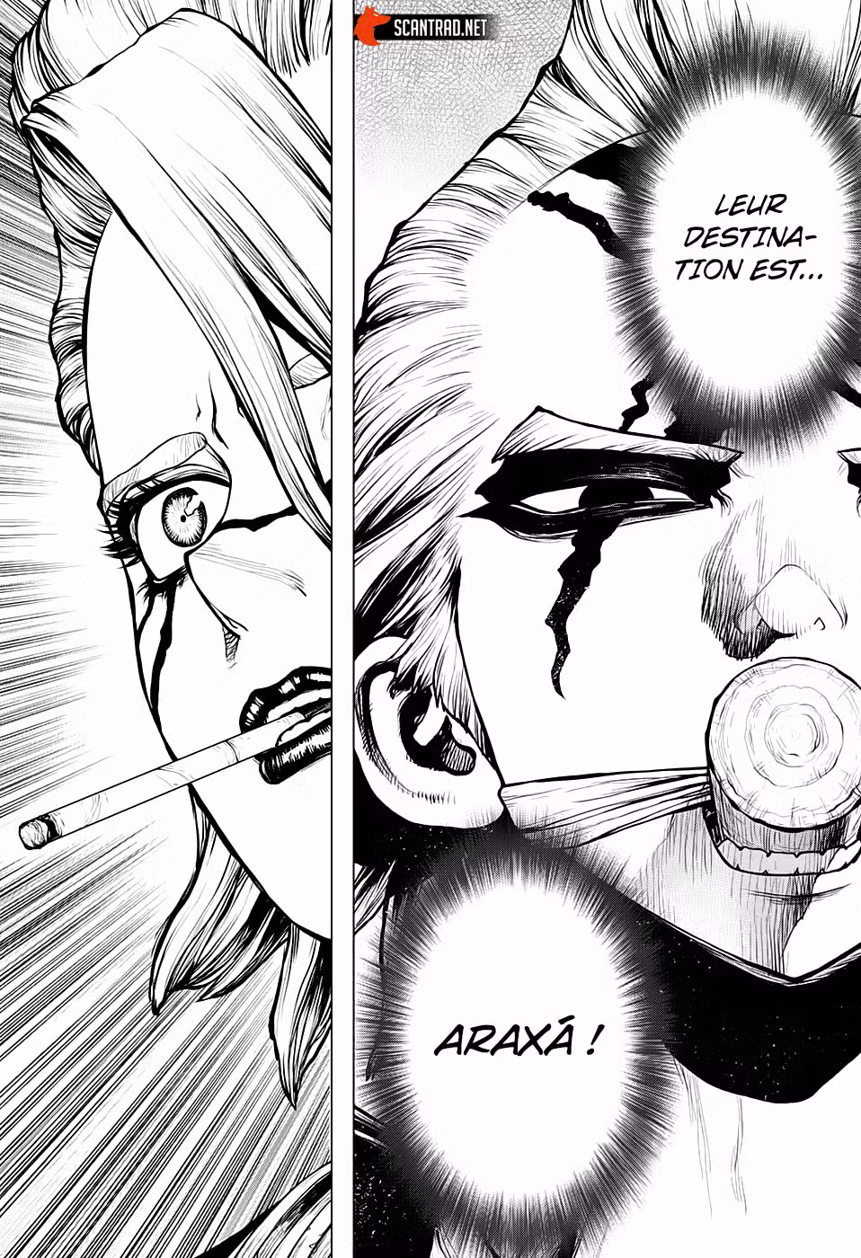 Dr. STONE 183 page 12