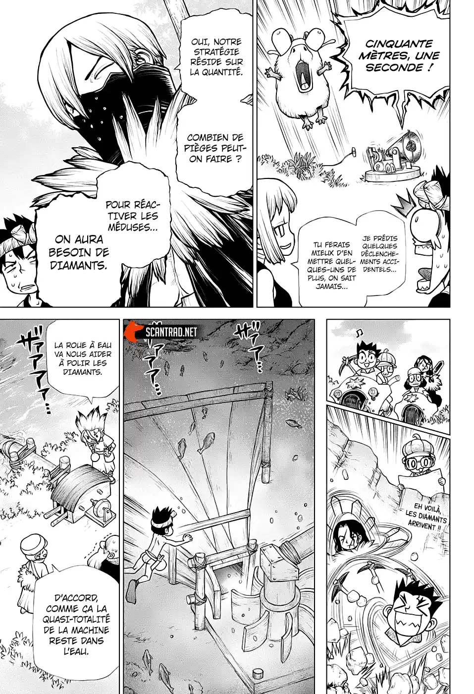 Dr. STONE 184 page 11