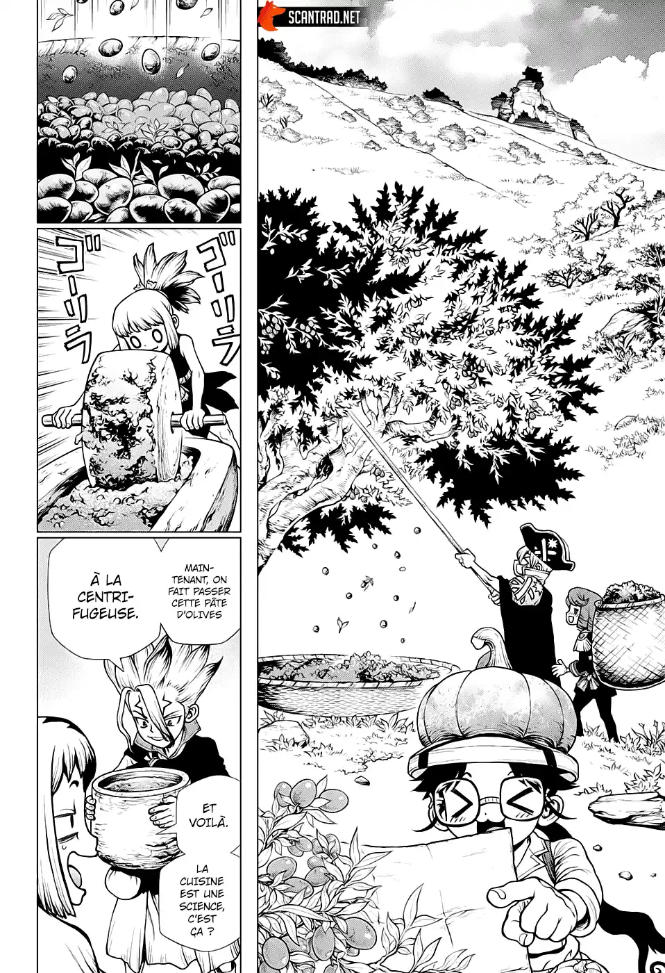 Dr. STONE 202 page 5