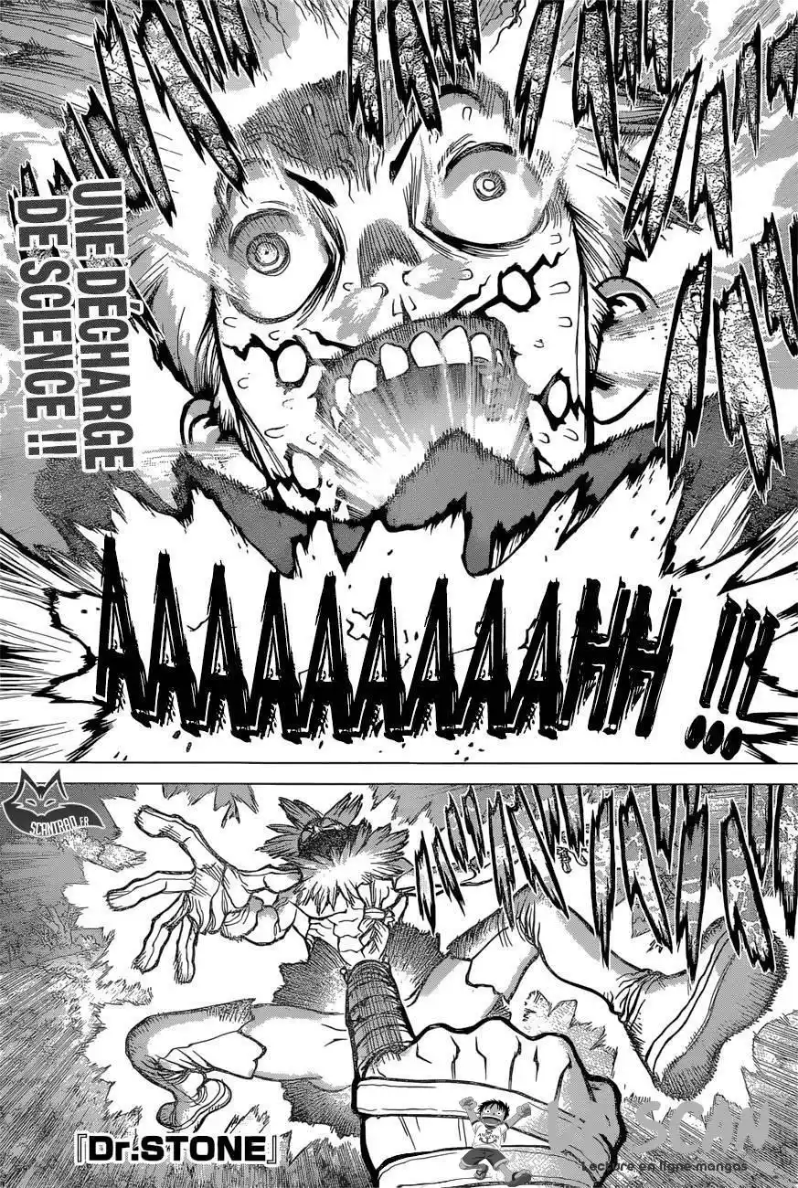 Dr. STONE 82 page 1
