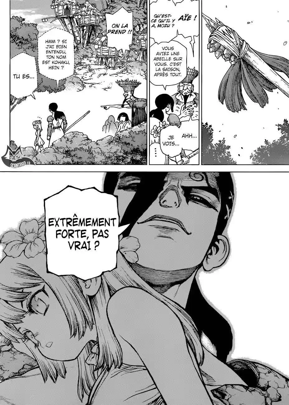 Dr. STONE 111 page 11