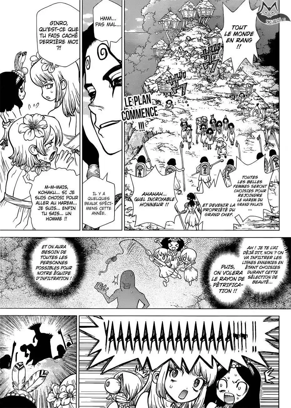 Dr. STONE 111 page 5
