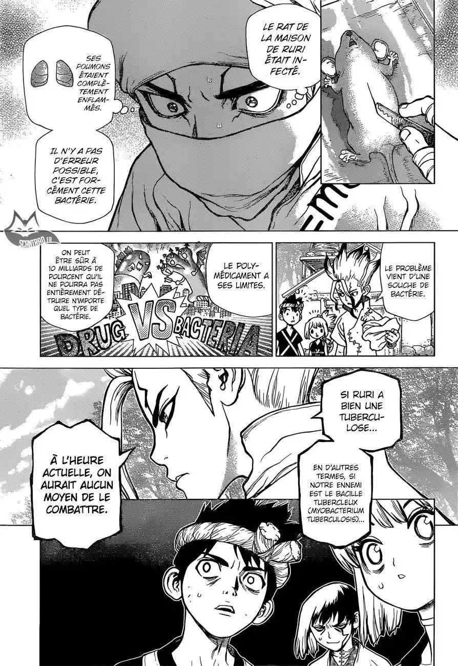 Dr. STONE 41 page 6