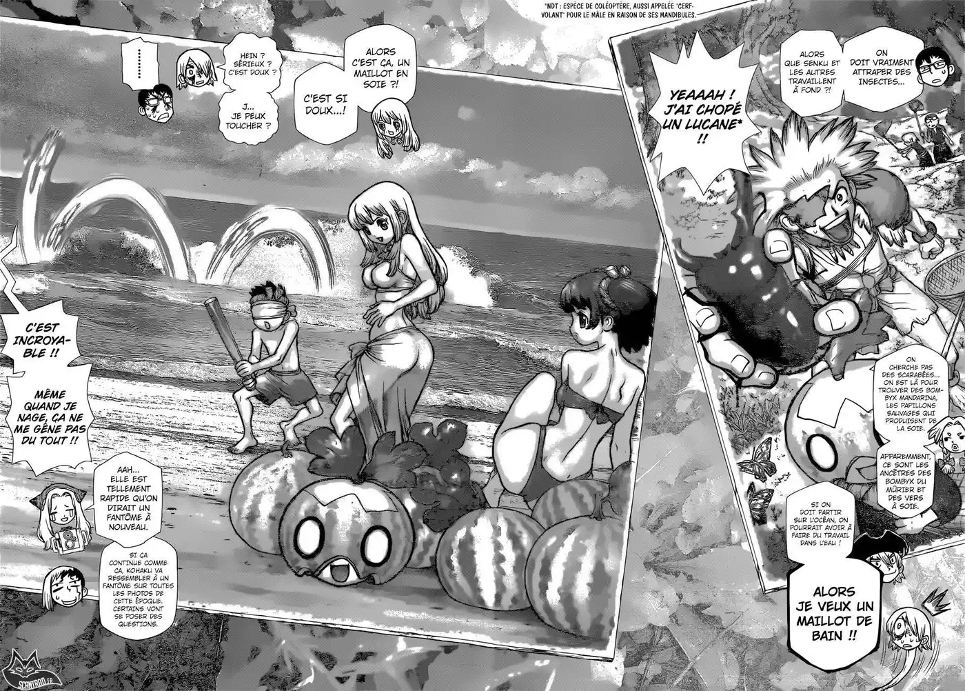 Dr. STONE 99 page 11