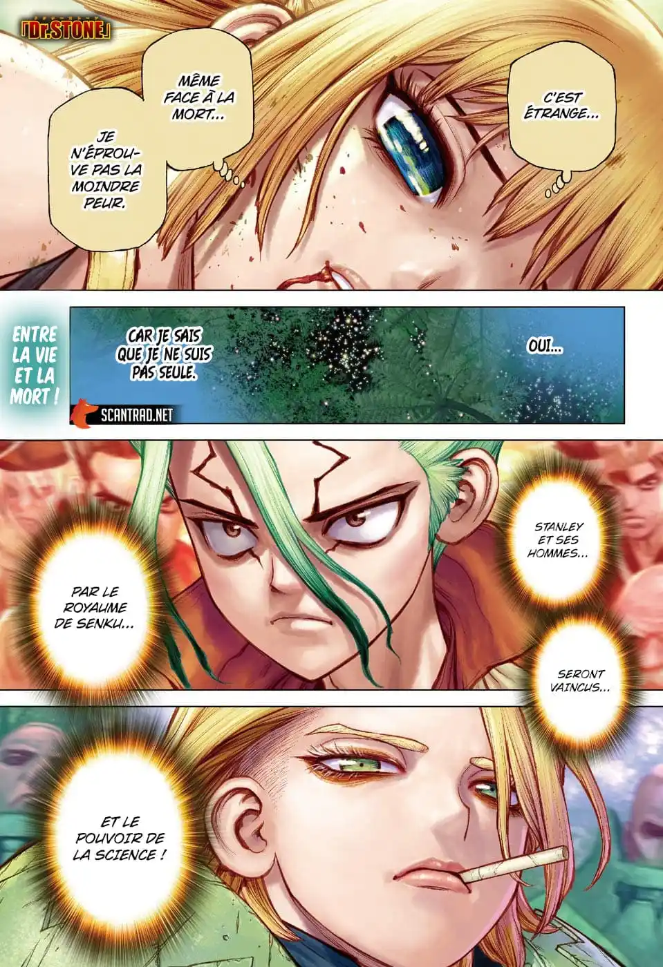 Dr. STONE 189 page 2